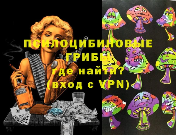 индика Анива