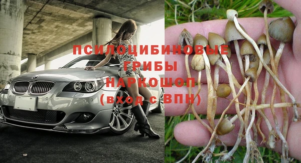 эйфоретик Михайловск