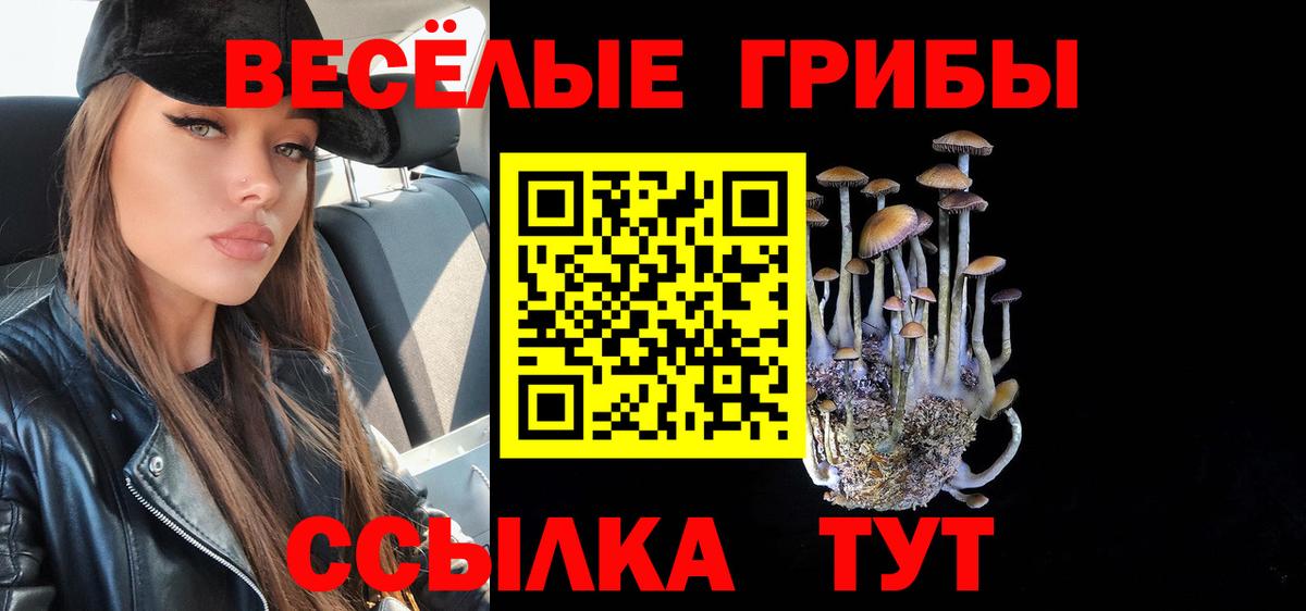 Псилоцибиновые грибы GOLDEN TEACHER Чапаевск