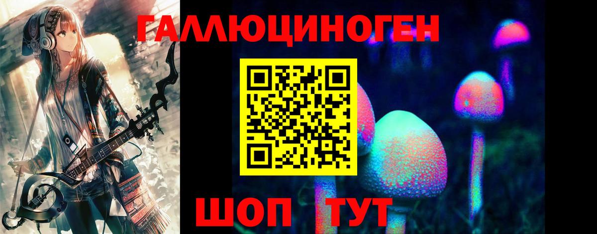 где можно купить   Галлюциногенные грибы Magic Shrooms  Галлюциногенные грибы Magic Shrooms  Вход с VPN  Чапаевск 